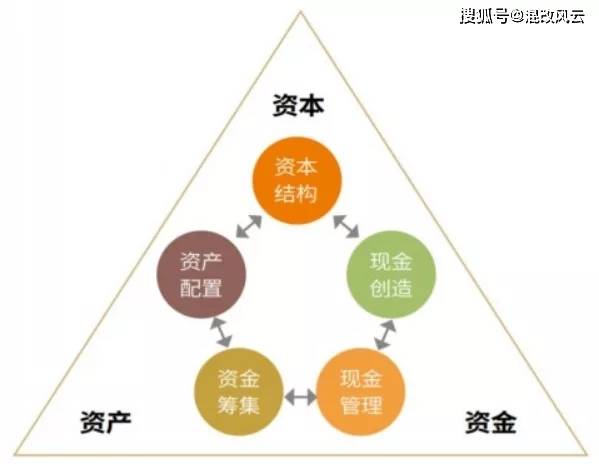 单数中特虎鼠马，牵一发而动全身打一准确生肖详细解答、解释与落实、构建解答解释落实
